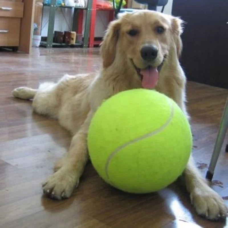 9.5'Giant Tennis Ball For Dog Chew Toy Big Inflatable Tennis Ball Pet Dog Interactive Toys Pet Supplies Outdoor Cricket Dog Toy