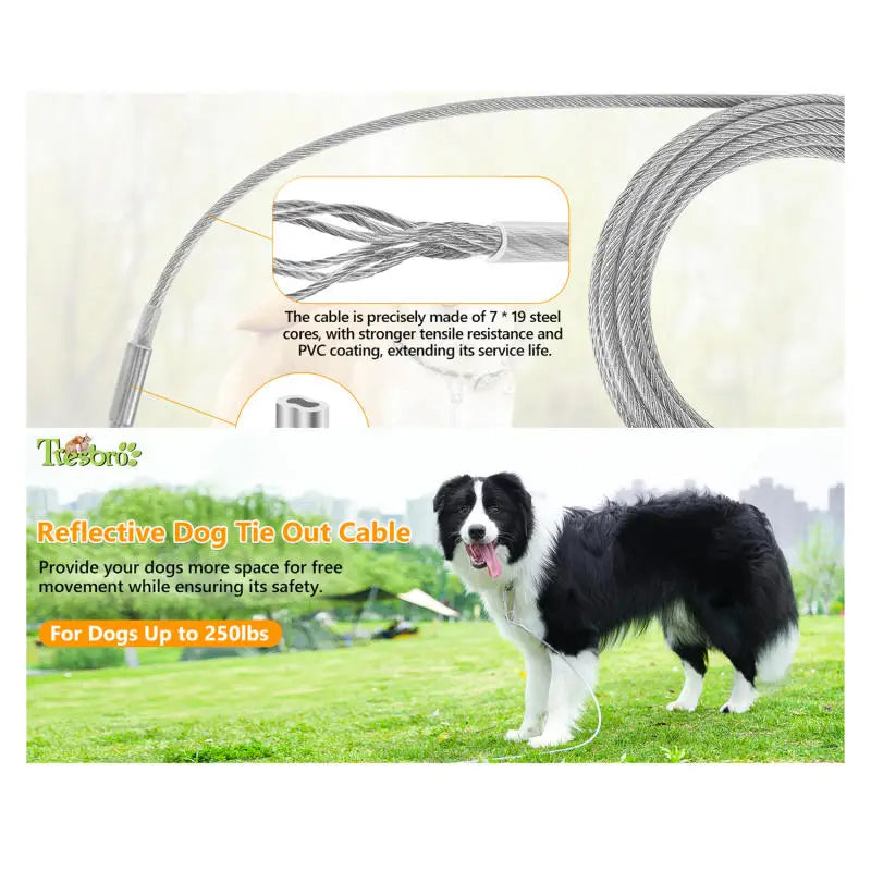 460/900/1500 Stainless Double Steel Heavy-Duty Reflective Dog Tie-Out Cable Capacity with Swivel Snap Hooks - Ideal for Outdoor