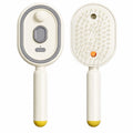 Brosse Démêlante & Spray Vapeur 3-en-1
